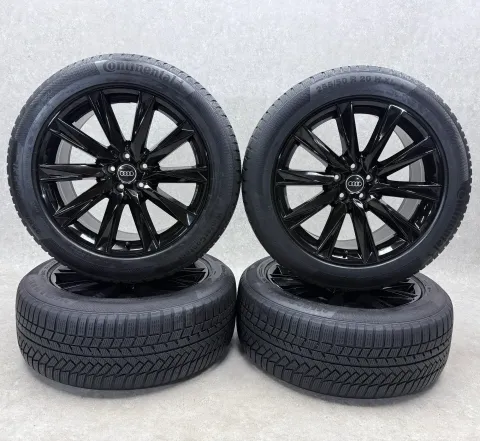 Background image for AUDI E-Tron Sportback GEN GEA 255/50 R20 20 Zoll Winterreifen NEU